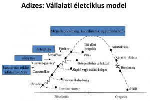 adizes féle vállalati fejlődési fázis modell